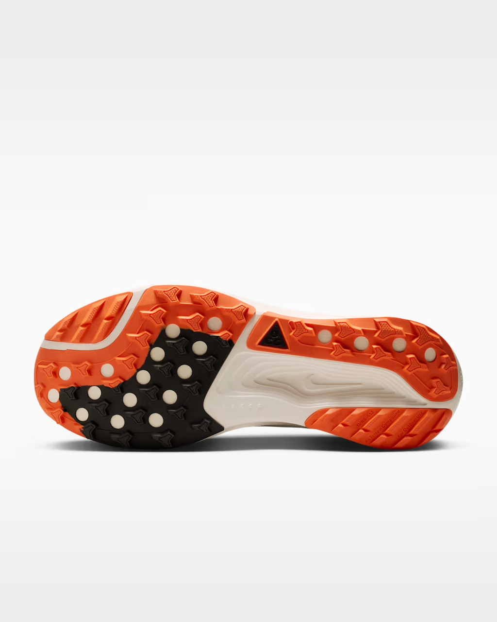 Nike ACG Pegasus Trail