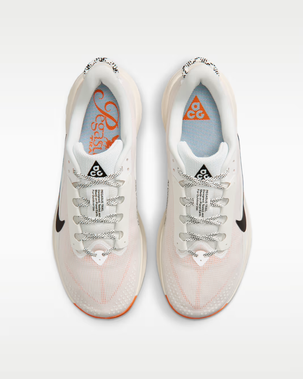 Nike ACG Pegasus Trail