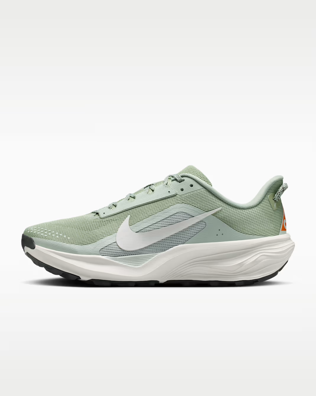 Nike ACG Pegasus Trail