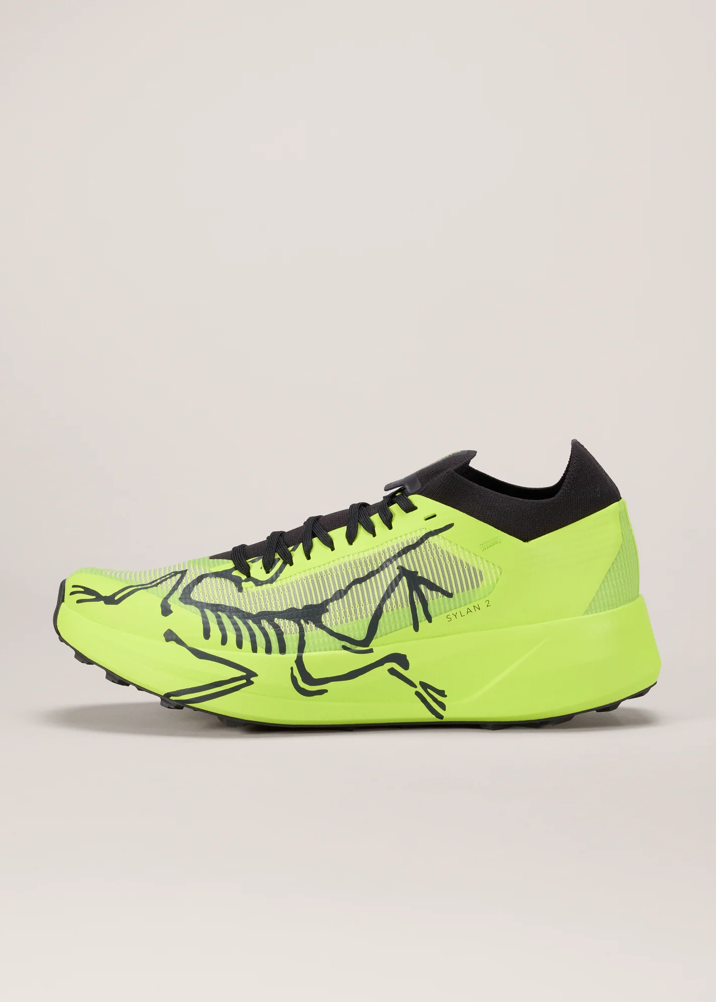 M's Arc'teryx Sylan 2