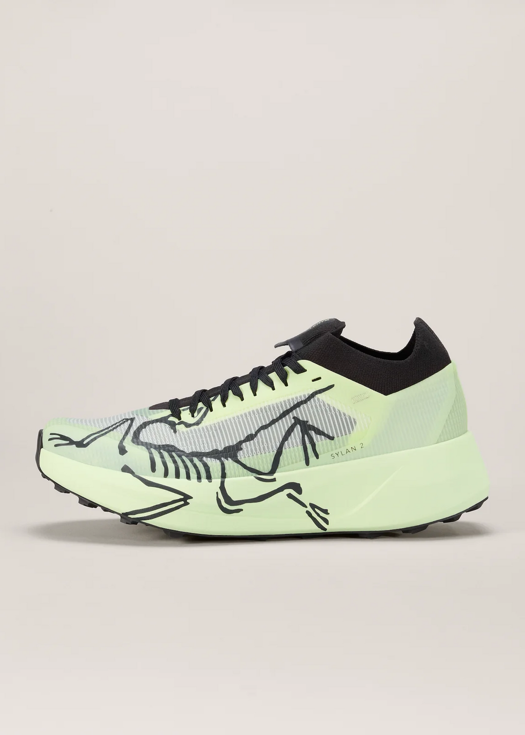 W's Arc'teryx Sylan 2