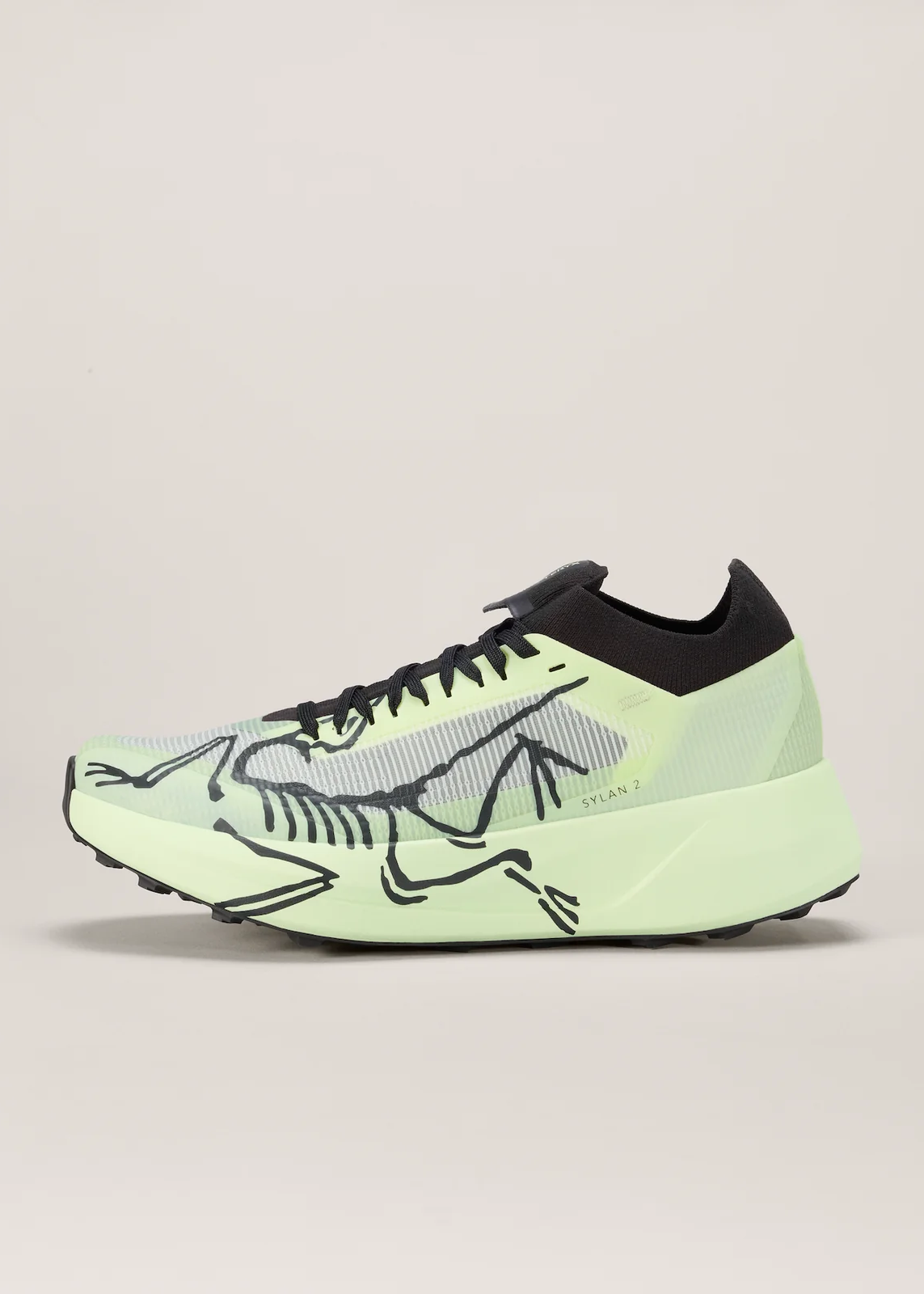 W's Arc'teryx Sylan 2